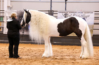 KSB16729