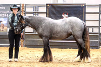 KSB16728