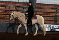 256 Stock Seat Equitation - Adult