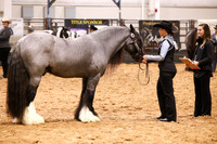 KSB11570