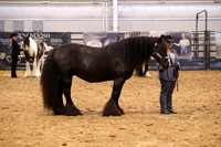 KSB11557