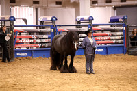 KSB11554
