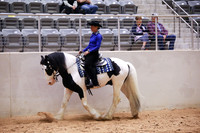 KSB15596