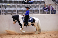 KSB15597