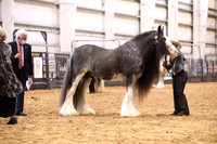 KSB11454