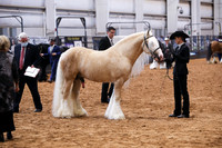 KSB11439