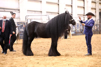 KSB11450