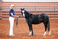 KSB_7445