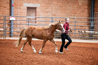 KSB_7760