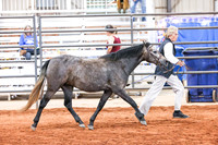 KSB_8282