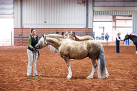 073 & 273 Section C Grand Champion and Reserve