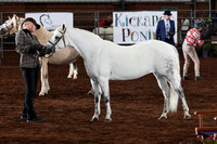 132 Senior CH and Rs Section B Mare