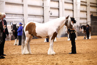 KSB11046