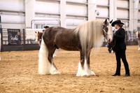 KSB11062