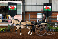 237 Carriage Driving Reinsmanship