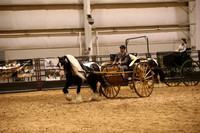 KSB17975
