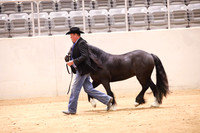 KSB15999