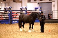 KSB11672