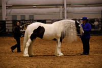 KSB11668