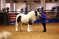 KSB11662