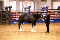 KSB11656
