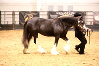 KSB11658