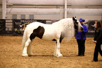 KSB11667