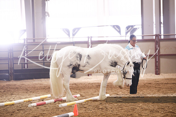 KSB18885