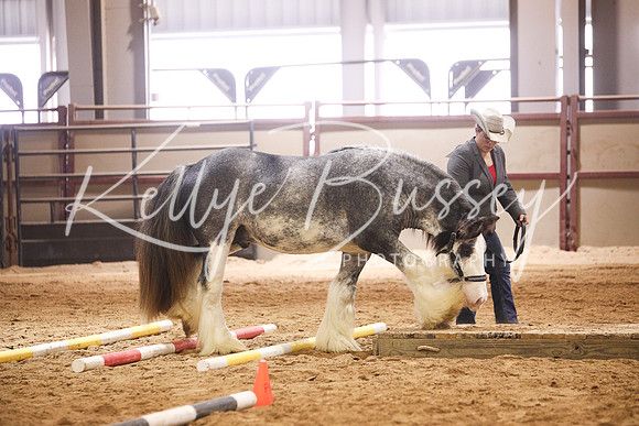 KSB18753