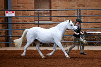 KSB_8735