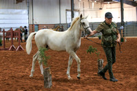 AN1O2006