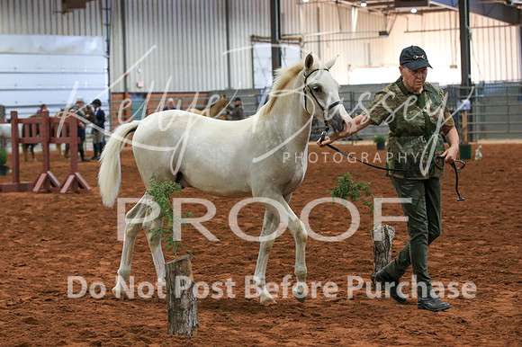AN1O2006