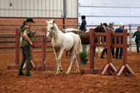 AN1O2004