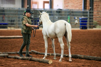 AN1O2010