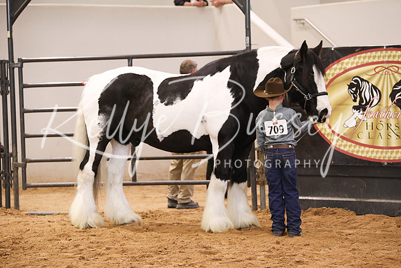 KSB11498