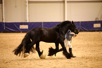 KSB17652