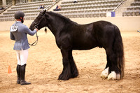 KSB17647