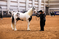 KSB10775