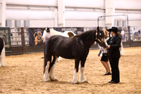 KSB16941