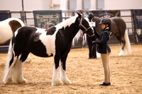 KSB16947
