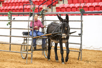 20. Donkey Mule - Obstacle Driving