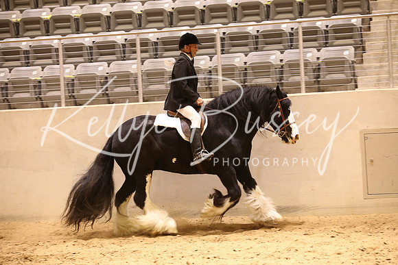 KSB11068