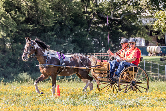 6V9A0221
