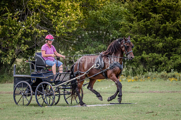 6V9A0828
