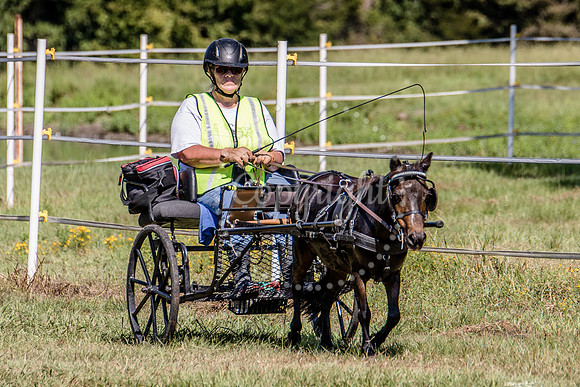 6V9A0419