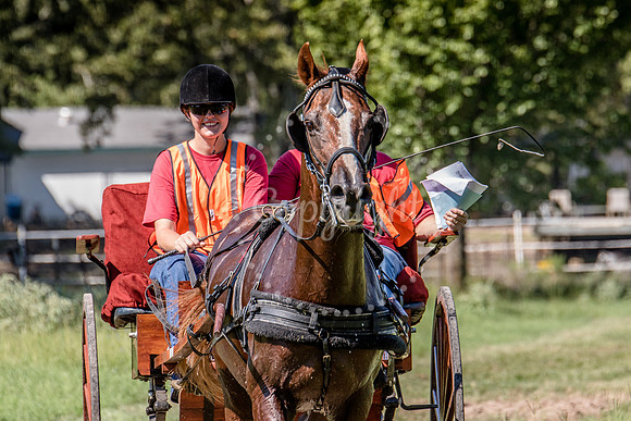 6V9A0368
