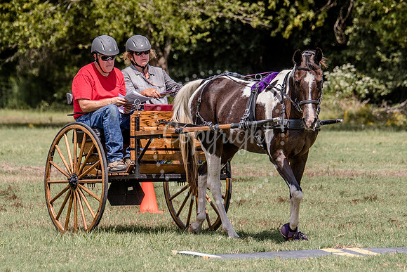 6V9A0687