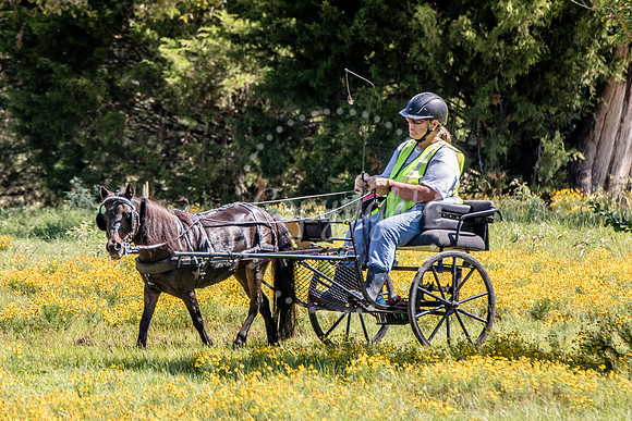 6V9A0468