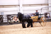 KSB15537