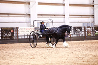 KSB15541